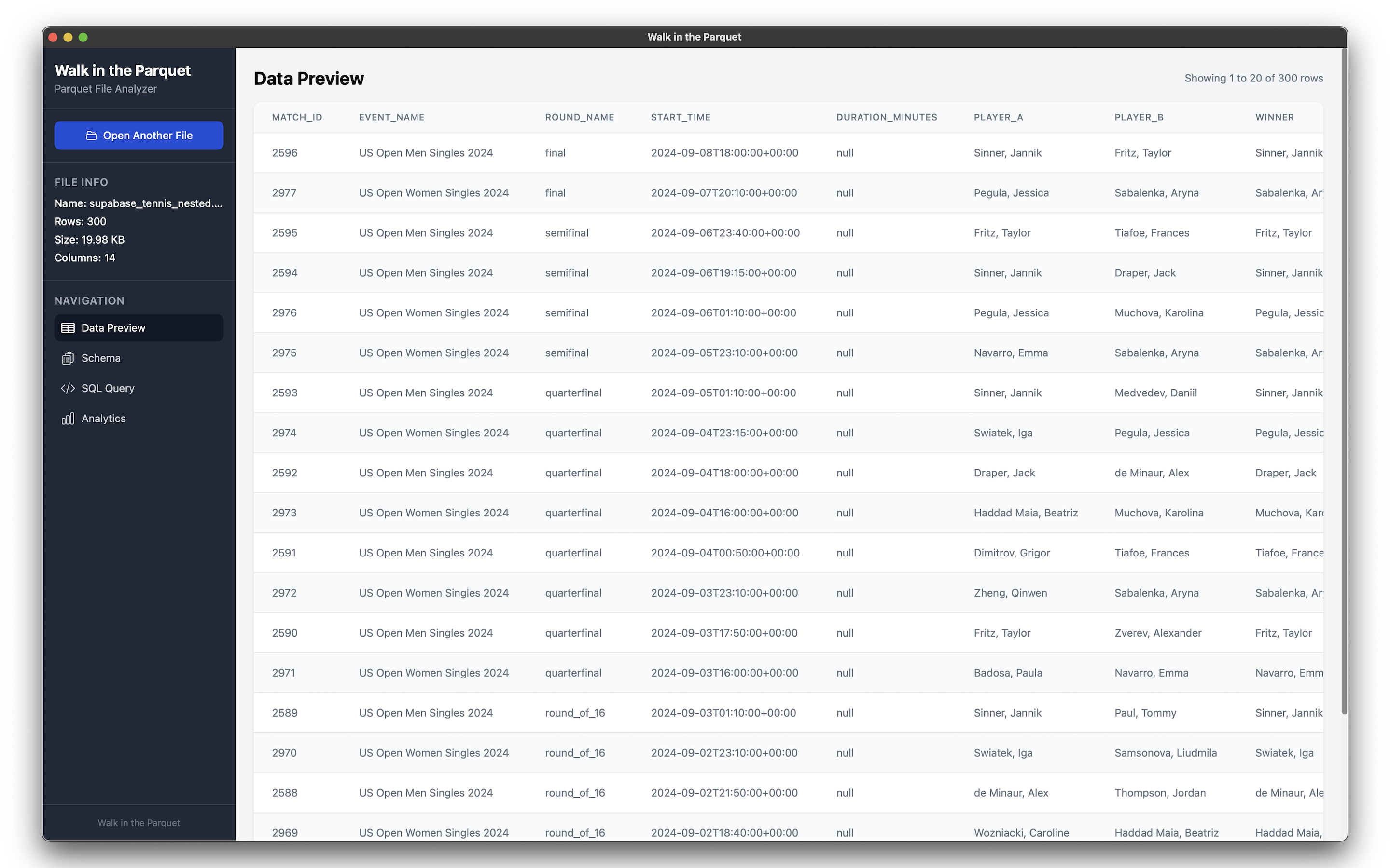 Data preview screen